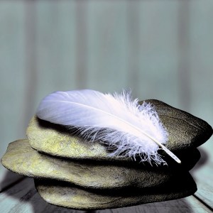 feather-1359097_1280
